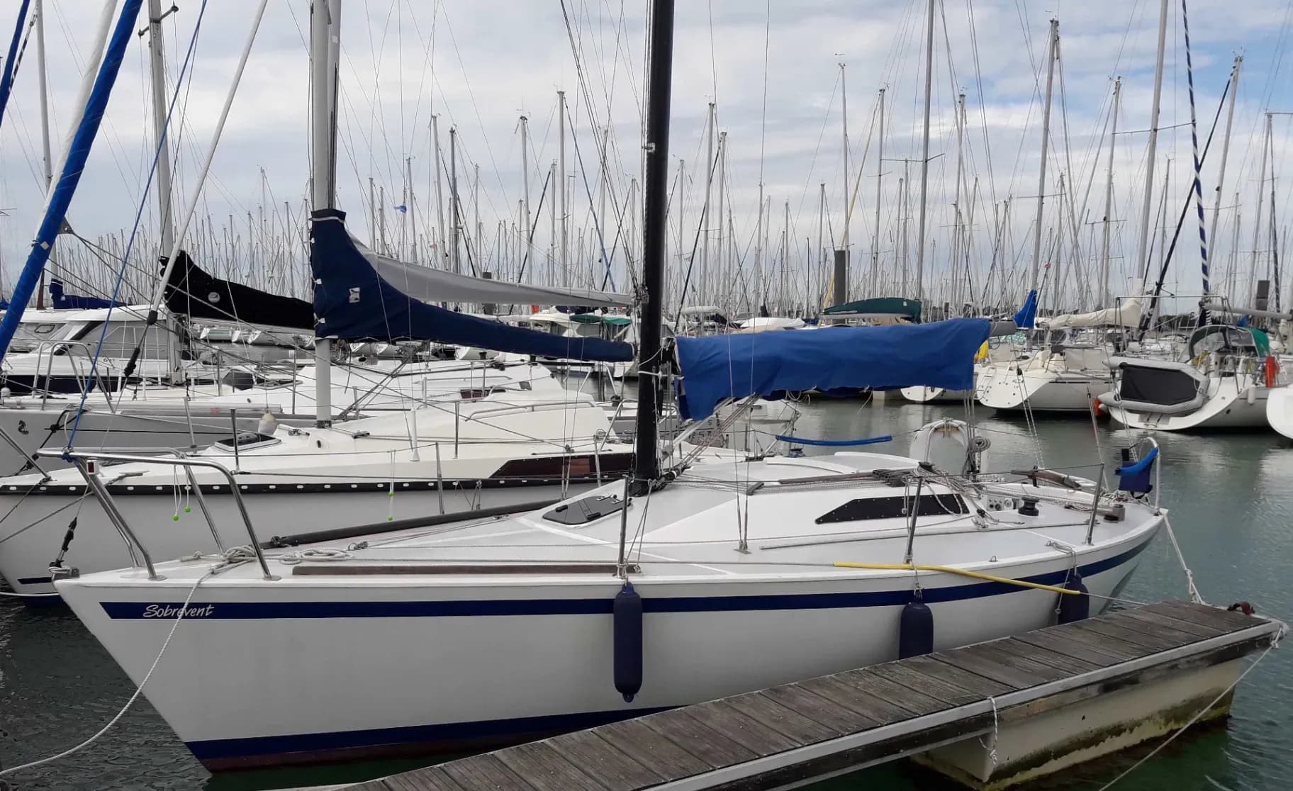 Grop Astilleros SA MANZANITA quarter collection