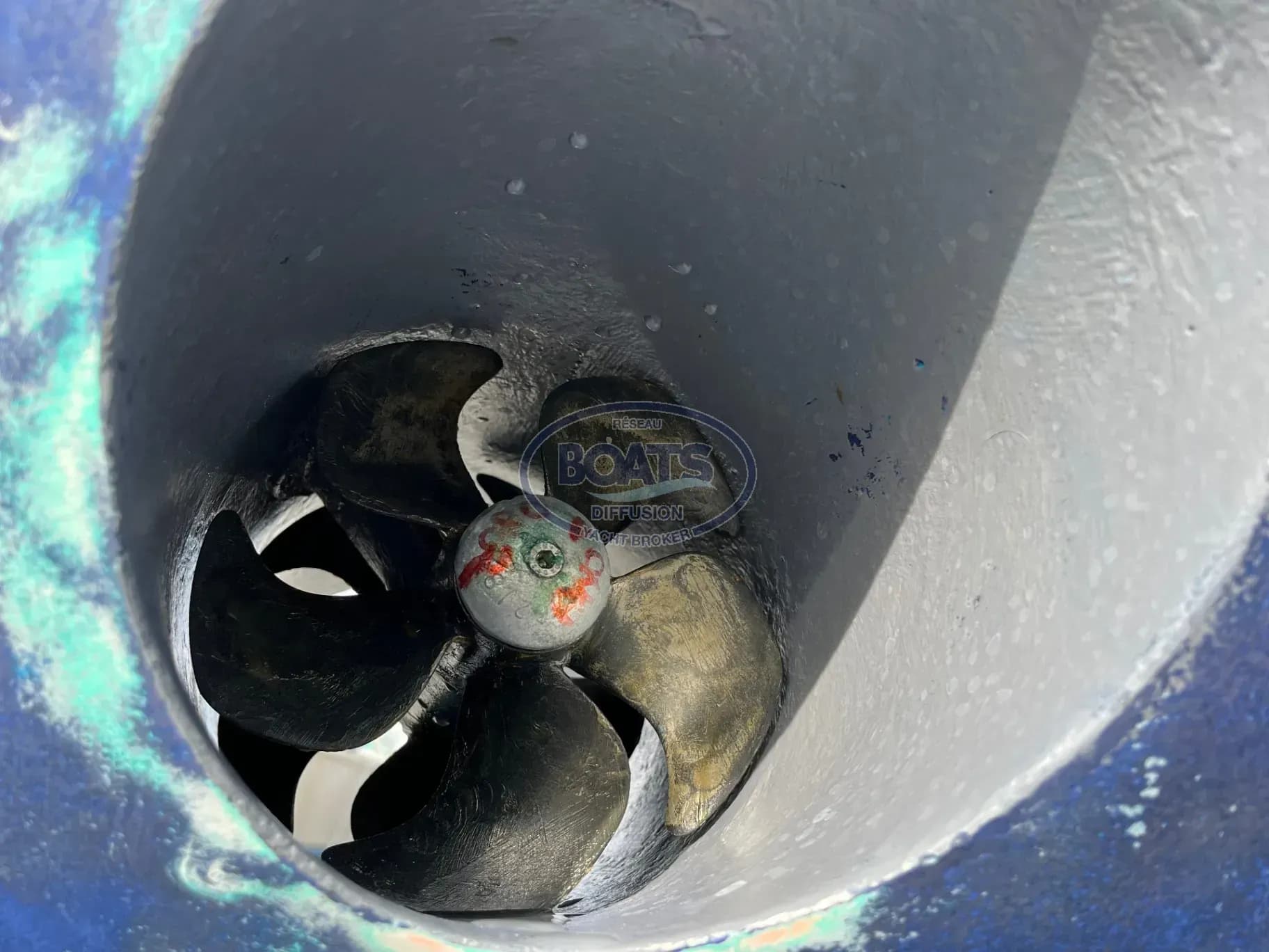 Thumbnail 12