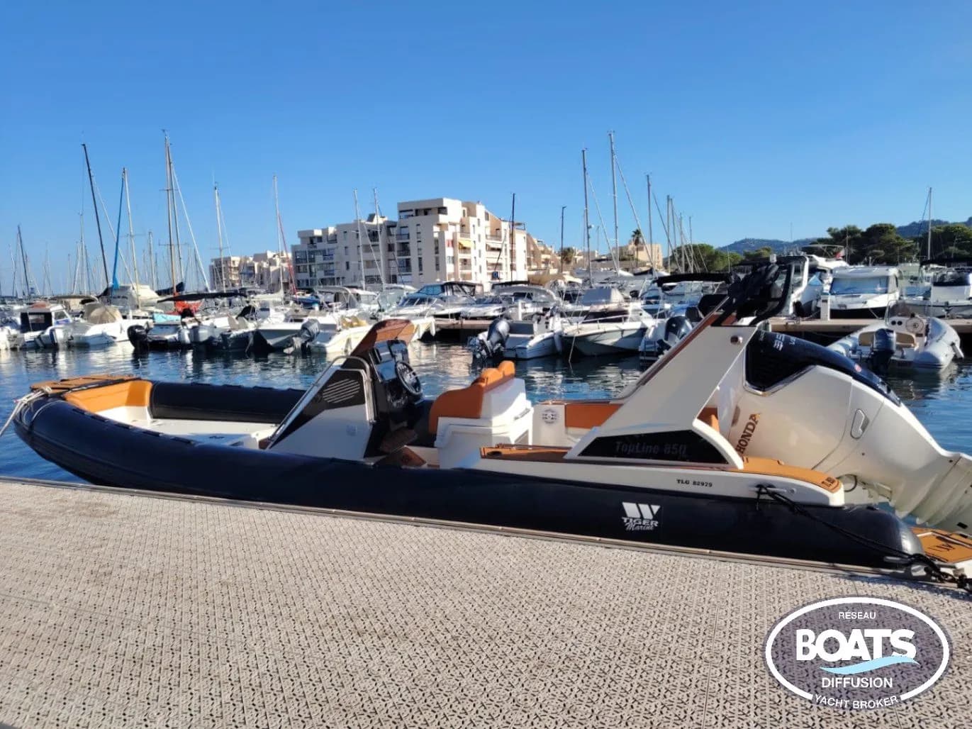 Tiger Marine 850 Top Line