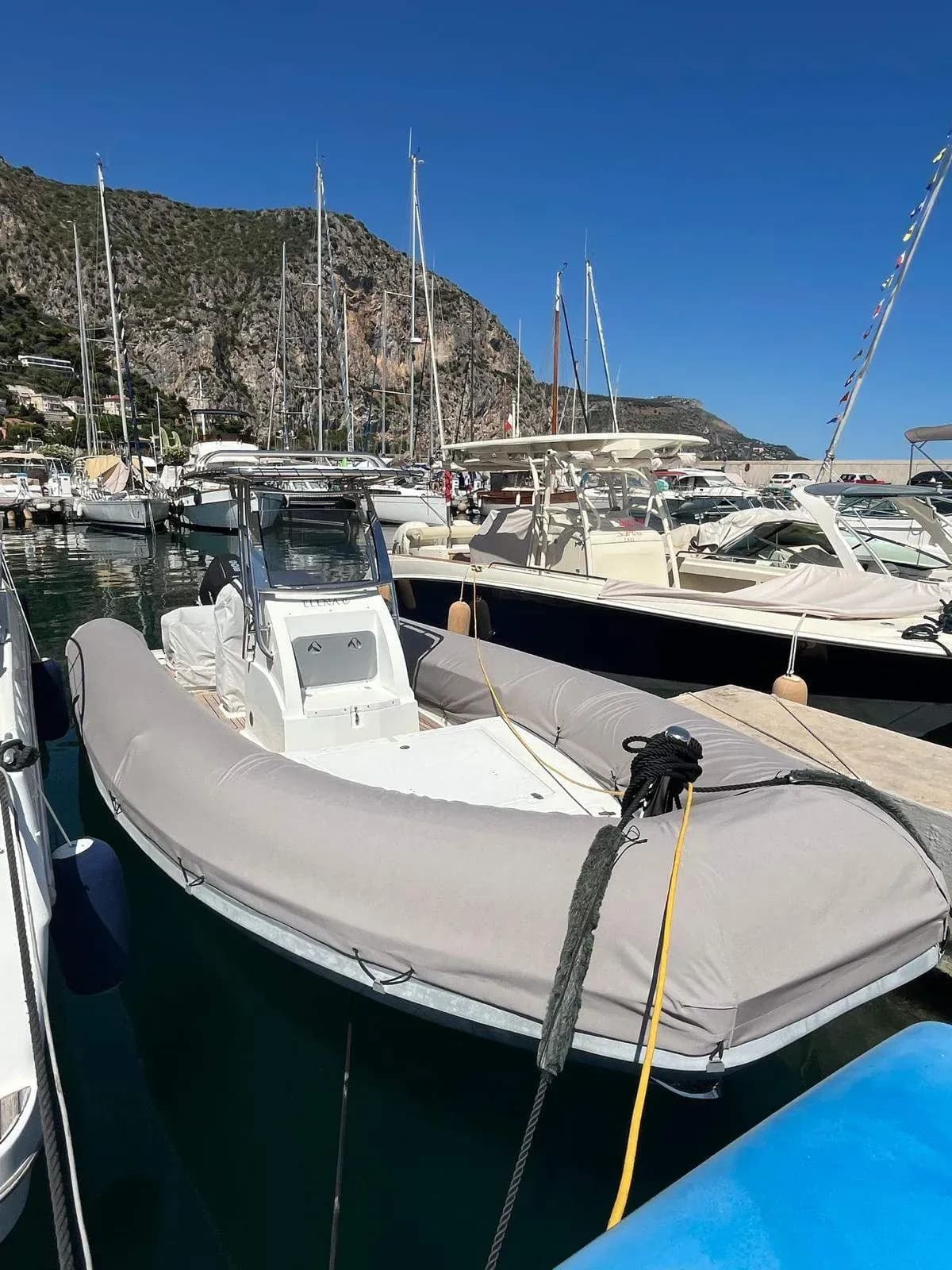 Sea Water Phantom 260