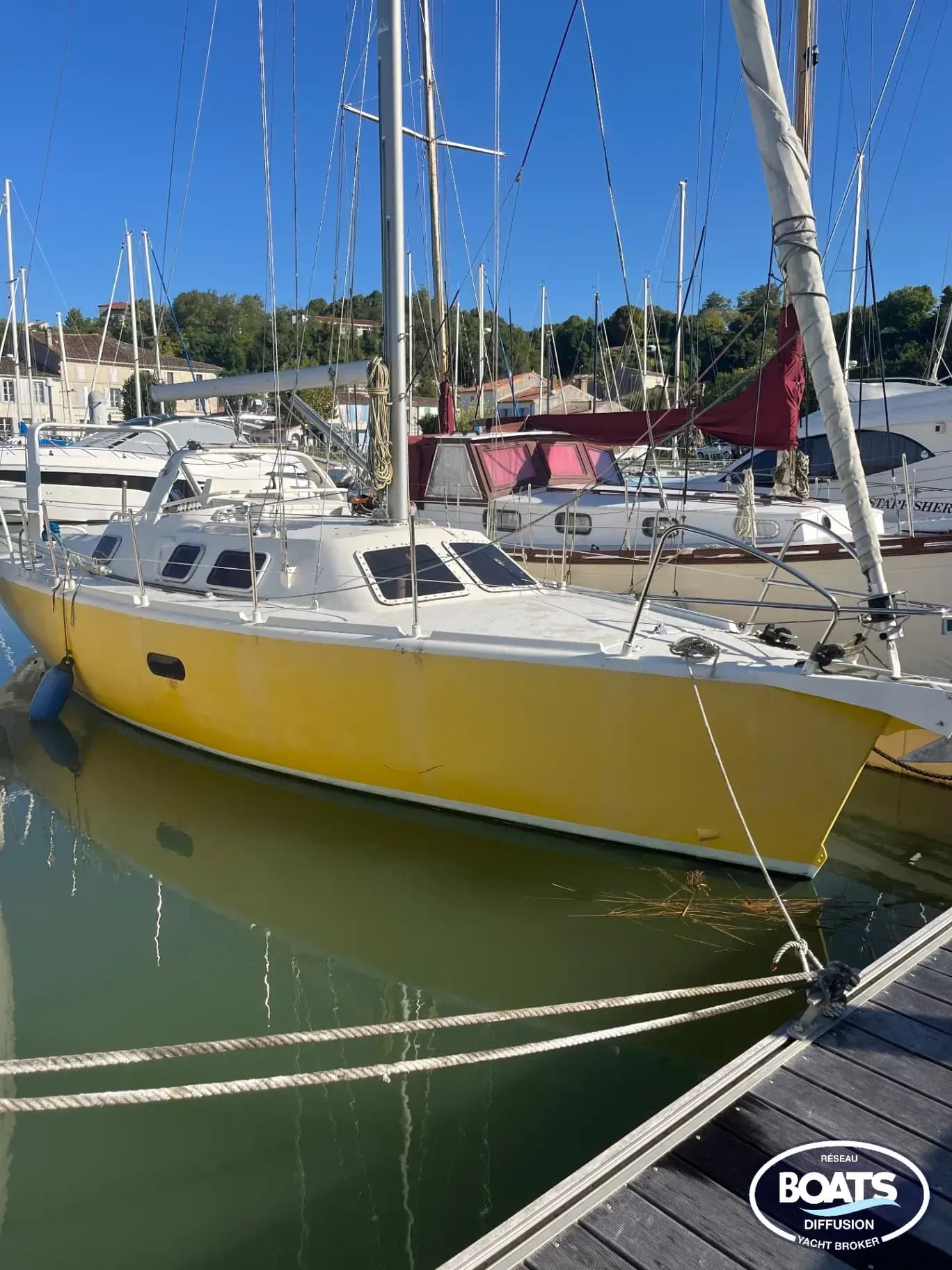 AFEP MARINE MANATEA 350 - Photo 1