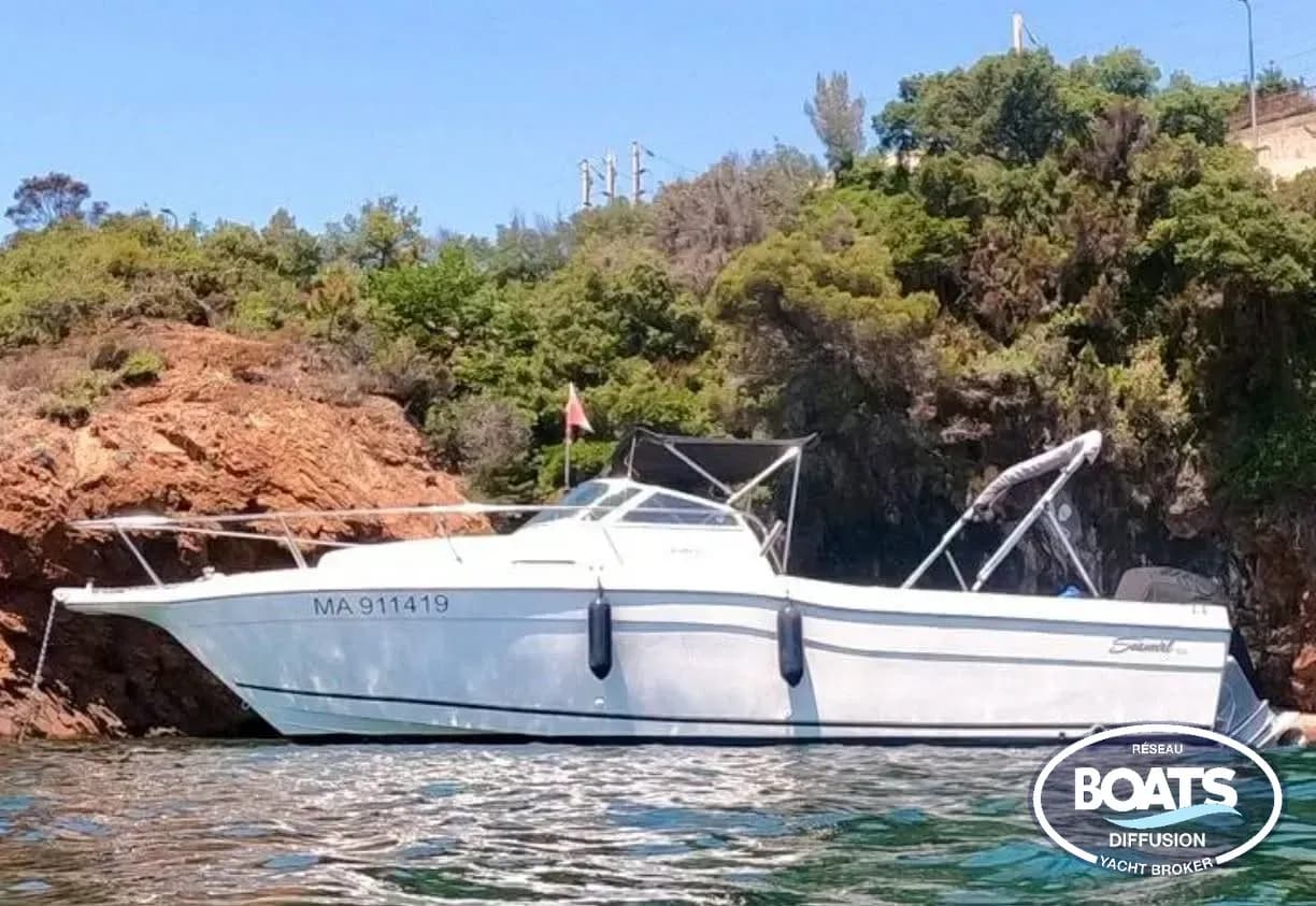 Seaswirl Striper 2600 walkaround américain open de pêche sportive