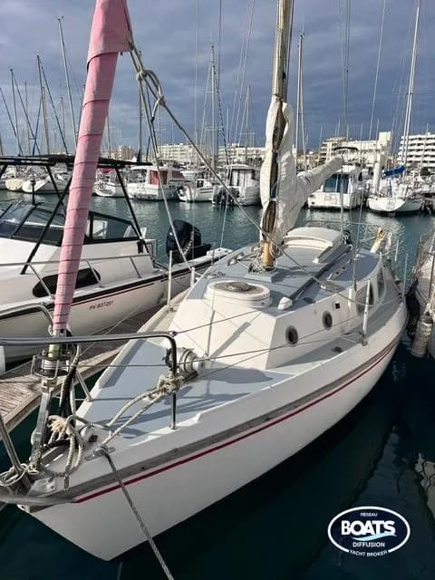 WESTERLY WESTERLY TIGER - Photo 1